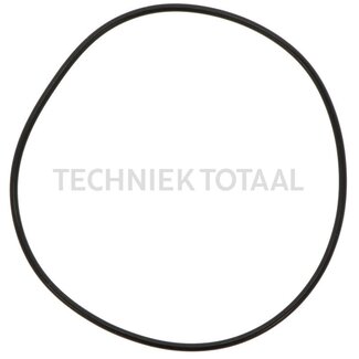DANA Spicer O-Ring Differential Vorderachse 970, 2 g
