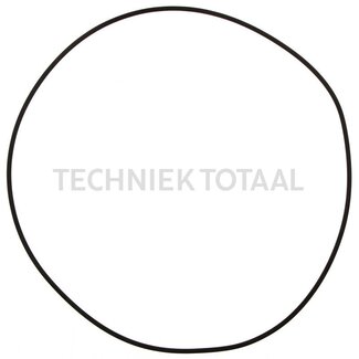 DANA Spicer O-ring eindaandrijving vooras 755, 8 g