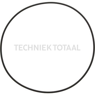 DANA Spicer O-Ring Bremsanlage Vorderachse 745, 4 g