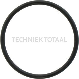 DANA Spicer O-Ring Zentral Gehaeuse Vorderachse 740, 2 g