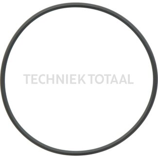 DANA Spicer O-Ring Differential Vorderachse 740, 1 g