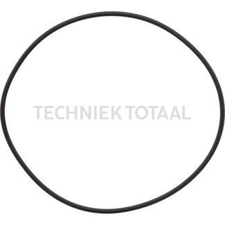DANA Spicer O-Ring Federung Vorderachse 970, 2 g