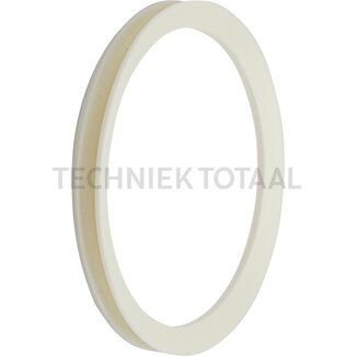 DANA Spicer Ring as Vorderachse 745, 46 g