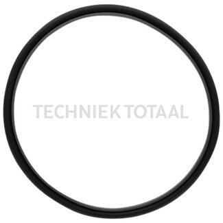 DANA Spicer Keerring differentieel vooras 745, 38 g