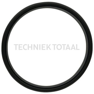 DANA Spicer Keerring differentieel vooras 745, 16 g