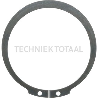 DANA Spicer Sicherungsring Differential Vorderachse 603, 22 g