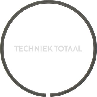 DANA Spicer Sicherungsring Bremsanlage Vorderachse 603, 4 g