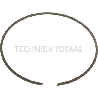 DANA Spicer Sicherungsring Endgetriebe Vorderachse 212, 62 g
