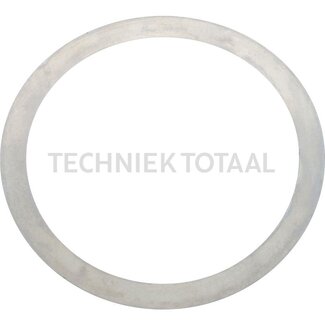 DANA Spicer Pass - Scheibe Differential Vorderachse 770, 6 g