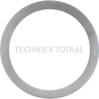 DANA Spicer Shim Differential Vorderachse 172, 2 g