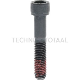 DANA Spicer Schraube Differential Vorderachse 740, 66 g