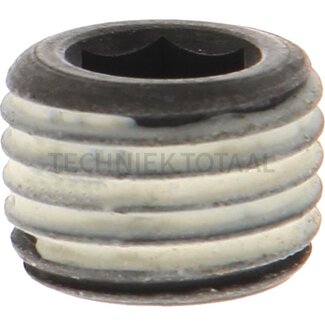DANA Spicer Plug centrale behuizing vooras 279, 10 g