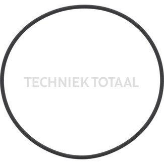 DANA Spicer Shaft seal brake system front axle 735, 8 g