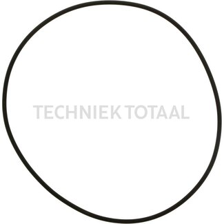 DANA Spicer O-Ring Differential Vorderachse 740, 10 g Linde