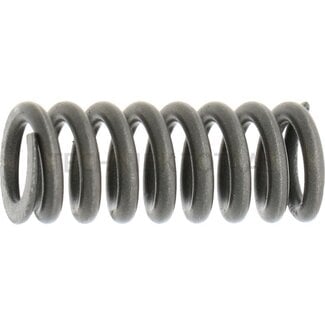 DANA Spicer Feder Bremsanlage Vorderachse 745, 12 g