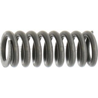 DANA Spicer Spring brake system front axle 745, 12 g
