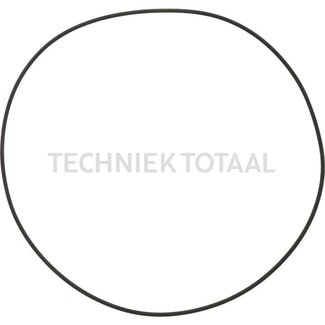 DANA Spicer O-ring eindaandrijving vooras 279, 10 g Yale
