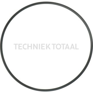DANA Spicer Anti-extrusie ring remsysteem vooras 212, 10 g