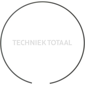 DANA Spicer Sicherungsring Endgetriebe Vorderachse 745, 80 g
