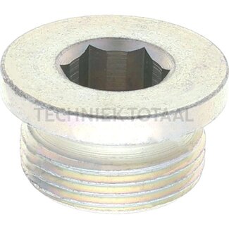 DANA Spicer Stopfen Zentral Gehaeuse Vorderachse 725, 42 g