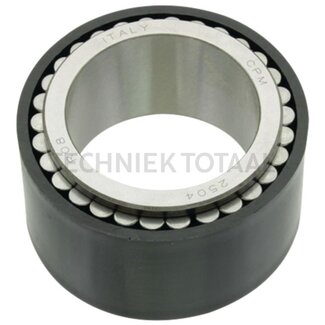 DANA Spicer Roller bearing final drive front axle 725