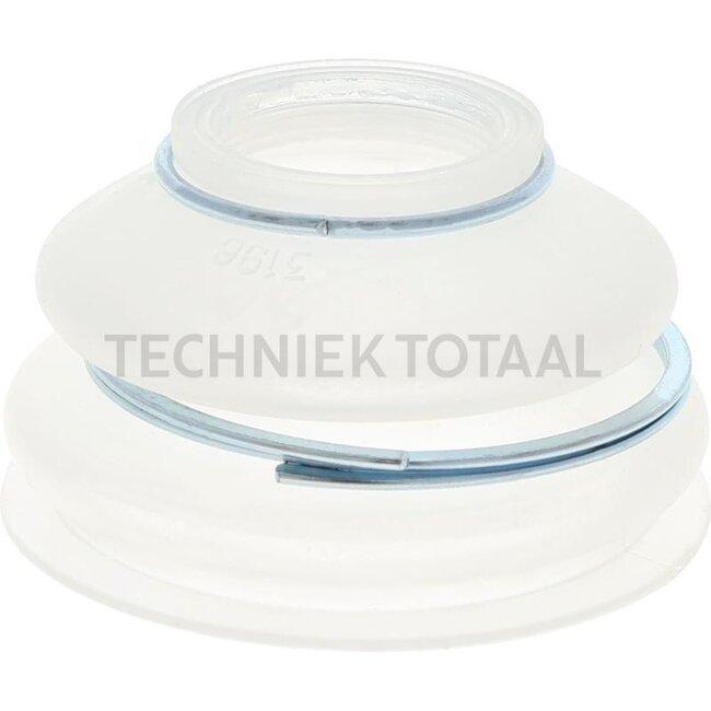 DANA Spicer Kasten und Halterungsringe Kit Lenkung Vorderachse 733, 26 g | 733.24.450.24
