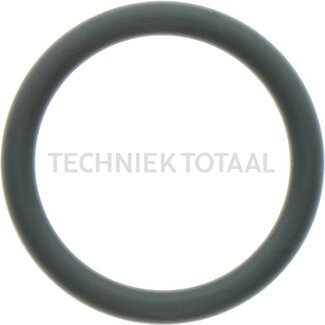 DANA Spicer O-ring brake system front axle 172, 1 g