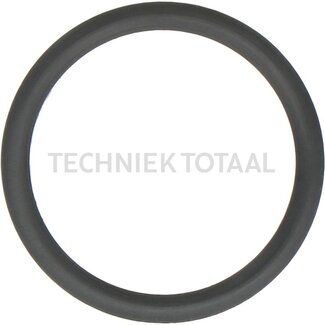 DANA Spicer Anti-extrusie ring remsysteem vooras 172, 2 g