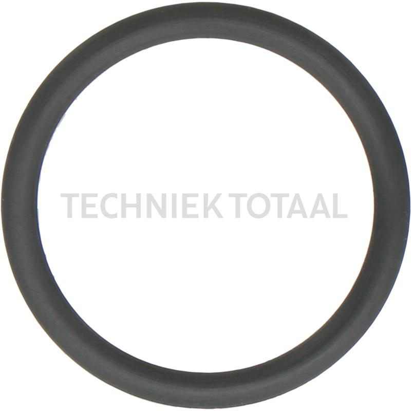 DANA Spicer Anti-extrusie ring remsysteem vooras 172, 2 g | 738.07.010.01, D885-001-113