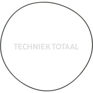 DANA Spicer O-Ring Zentral Gehaeuse Vorderachse 172, 6 g Linde