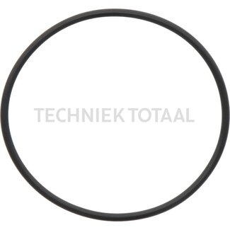 DANA Spicer O-Ring Differential Vorderachse 745, 6 g