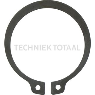 DANA Spicer Sicherungsring Endgetriebe Vorderachse 740, 10 g