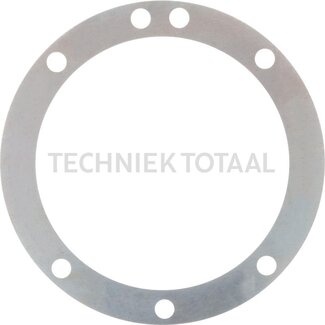 DANA Spicer Pass-Scheibe Differential Vorderachse 970, 18 g
