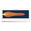 GRANIT Hauptscheinwerfer LED 12/24 V, 155 x 92 x 82 mm, H4 Deutz-Fahr, Lamborghini | 2.8039.240.0