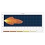 GRANIT Koplamp LED 12/24 V, 155 x 92 x 82 mm, H4 Deutz-Fahr, Lamborghini | 2.8039.240.0