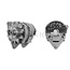 MAHLE Lichtmaschine 14 V, 65 A, Riemenscheibe-Ø 70 mm Landini, Massey Ferguson | MG 348, 3536 264 M91, 3547288M92, 3661 191 M91, 3698016M91