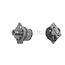 MAHLE Dynamo 14 V, 75 A, poelie-Ø 50 mm | MG 332
