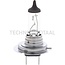 GRANIT Halogenleuchtmittel H7 12 V, 55 W, PX26d - 10 Stück