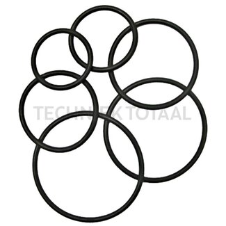 GRANIT O-ring thermostaat binnen-Ø 20 mm, koorddikte 2 mm Fendt, Renault