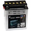 ENDURANCE ENERGY Accu 12 V / 12 Ah, koudstart 120 A, 134 x 80 x 160 mm | 550561, YB12A-B