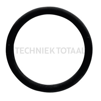 GRANIT O-ring vane connection Massey Ferguson 3050 - 6499