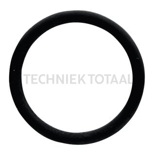 O-ring vane connection Massey Ferguson 3050 - 6499