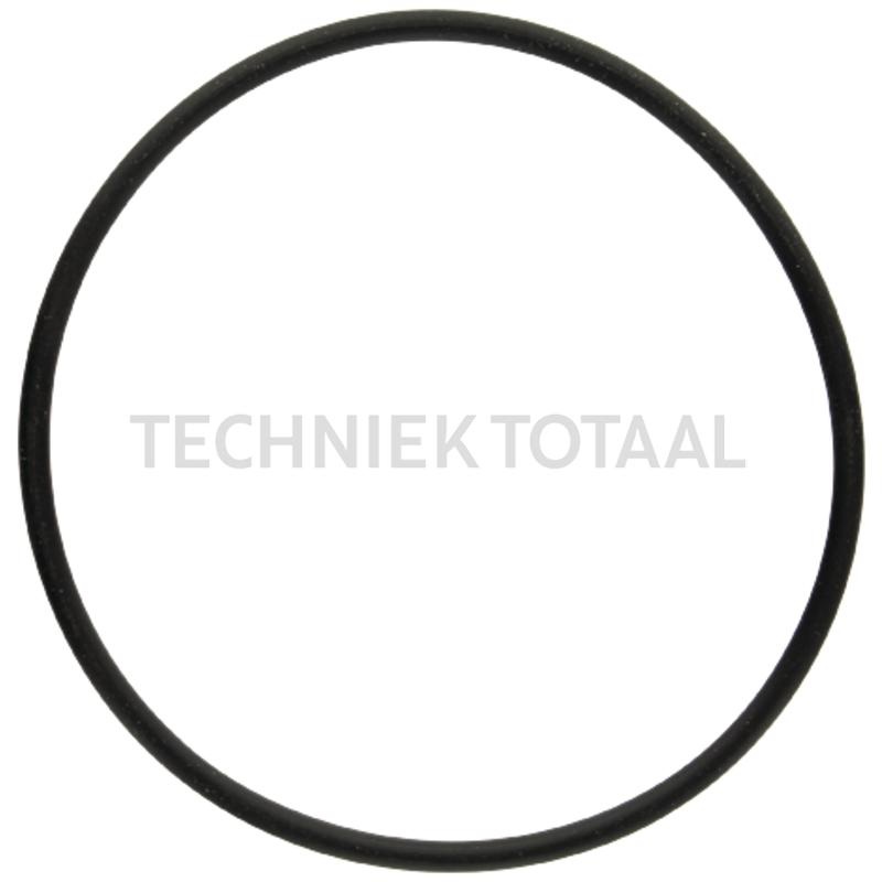 Afdichtring Ø 63,17 x 2,62 mm Massey Ferguson | 3007077X1