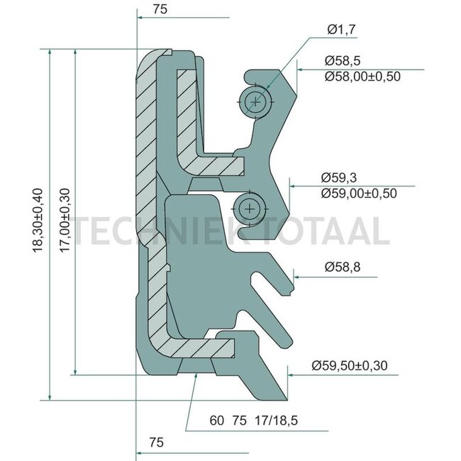 DANA Spicer Dichtring Endgetriebe Vorderachse 212, 60 x 75 x 17/18,5 mm | 213.06.015.01