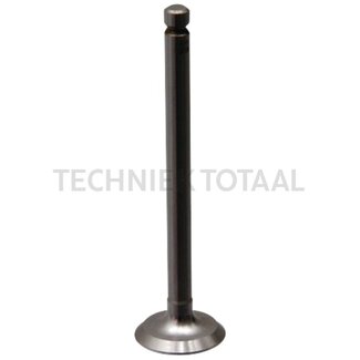 GRANIT Uitlaatklep motor 20 C Massey Ferguson TEF 20