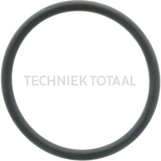 DANA Spicer O-ring differentieel vooras 755/120