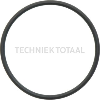 DANA Spicer O-ring central housing front axle 740/605