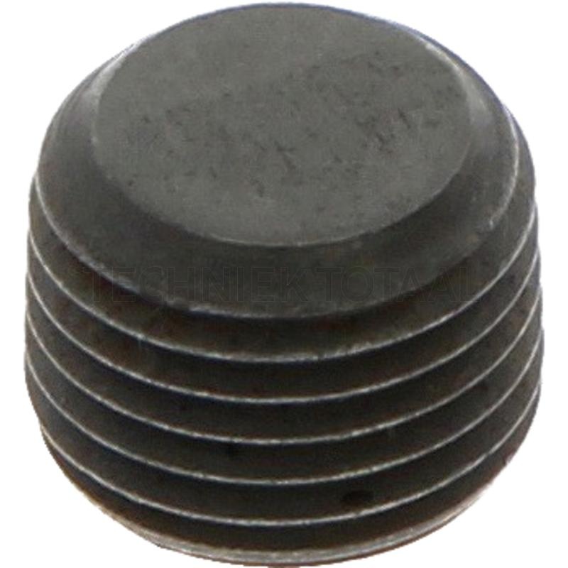 DANA Spicer Afsluitplug centrale behuizing vooras 172/453 | 016.14.1138, 0009620131, 0510726, 07650.031.001, 116H3-82201