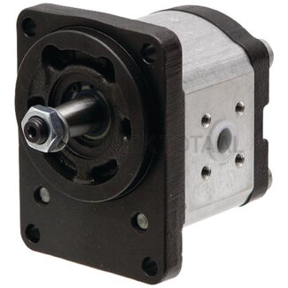 Bosch/Rexroth Enkele pomp 8 cm³, conus 1:5, Ø 17 x 17 mm, rechtsdraaiend