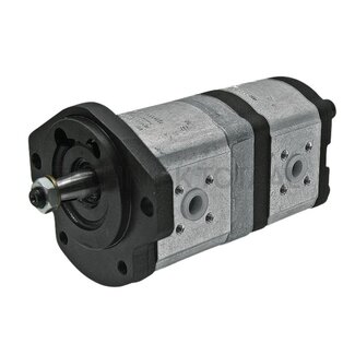 Bosch/Rexroth Dubbele pomp 14 + 8 cm³, conus 1:5, rechts Renault